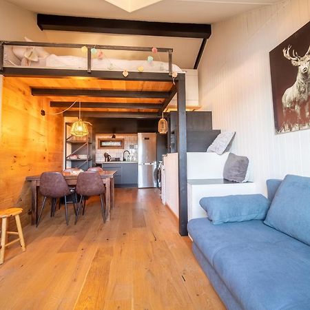 Le Cerf - Duplex Avec Superbe Vue Montagne Daire Les Angles  Dış mekan fotoğraf